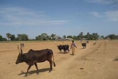 5.1228986360.mini-sudan2_111